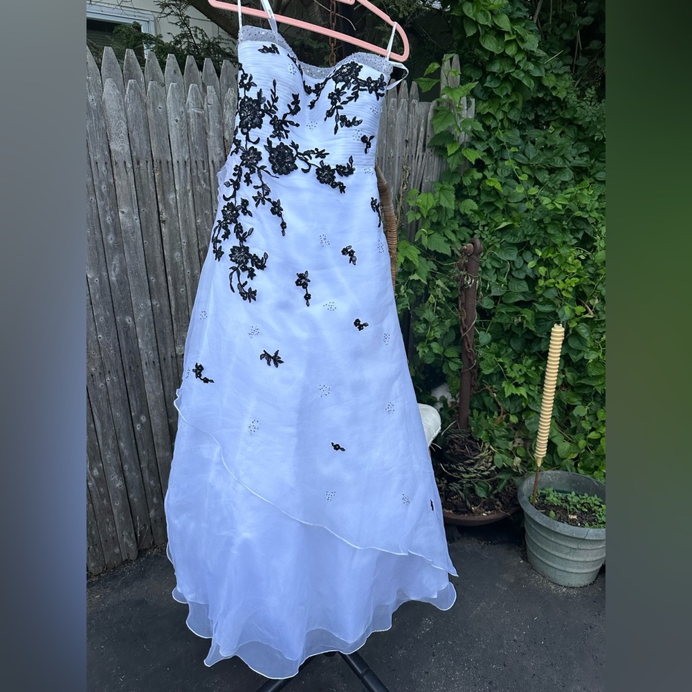 Beautiful Dress with black detail and touches of gold